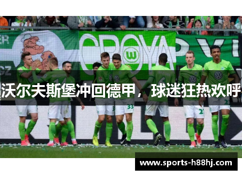 沃尔夫斯堡冲回德甲，球迷狂热欢呼